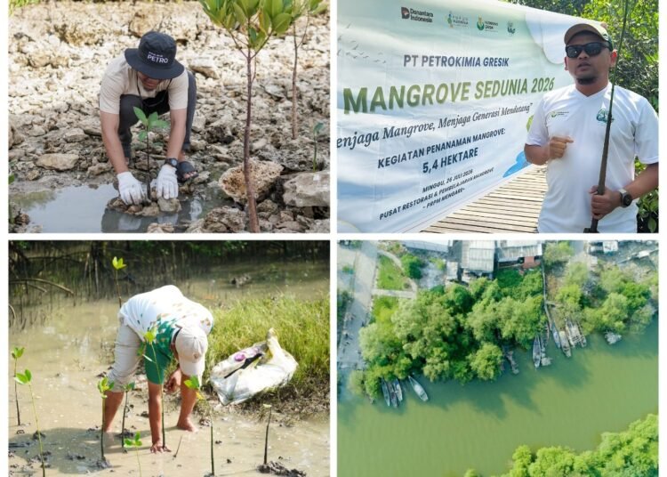 Tanam Ribuan Mangrove, PT Petrokimia Gresik Komitmen Jaga Ekosistem Pesisir