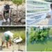 Tanam Ribuan Mangrove, PT Petrokimia Gresik Komitmen Jaga Ekosistem Pesisir