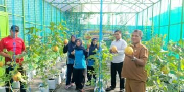 Pemdes Manyarsidorukun Sukses Budidaya Melon: Berdampak Nyata Dongkrak Ekonomi Warga 