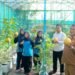 Pemdes Manyarsidorukun Sukses Budidaya Melon: Berdampak Nyata Dongkrak Ekonomi Warga