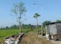 Semangat Kemerdekaan, Pemdes Bandungsekaran Balongpanggang Bangun Jalan Paving Wujudkan Aspirasi Warga
