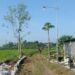 Semangat Kemerdekaan, Pemdes Bandungsekaran Balongpanggang Bangun Jalan Paving Wujudkan Aspirasi Warga