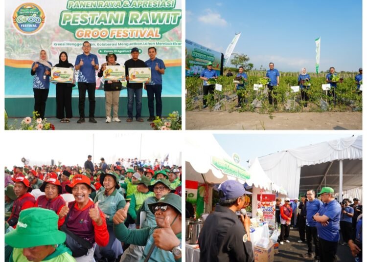 Ratusan Petani Cabai Rawit Ikuti “Pestani Rawit Groo Festival” Petrokimia Gresik: Hasil Panen Meningkat hingga 15 Persen