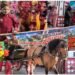Ribuan Pasang Mata Dibikin Takjub Saksikan Karnaval HUT Kemerdekaan RI ke-81 di Kecamatan Cerme 
