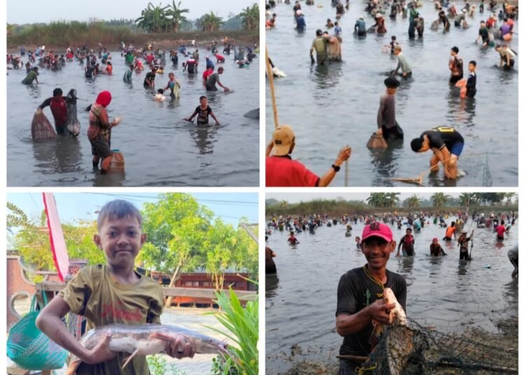 Meriahkan HUT RI, Pemdes Bulangan Dukun Kembali Gelar Tradisi Ngubek Srumbung Tangkap Ikan Gratis