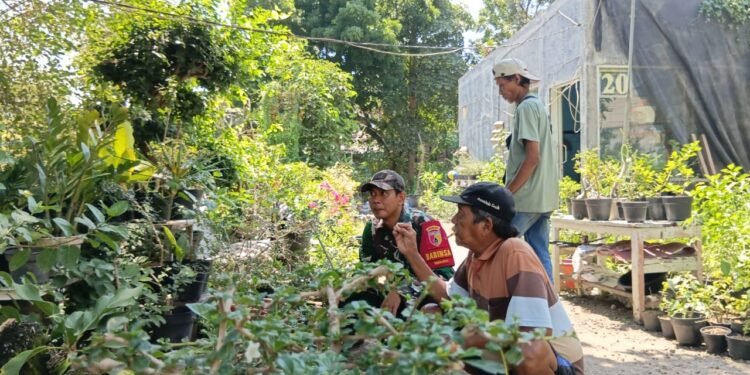 Bahkan, Penjual Tanaman Bunga pun Tak Luput dari Perhatian Babinsa Koramil 0817/06 Manyar