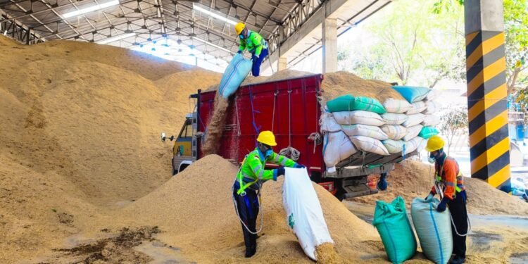 Gunakan Sekam Padi 400 Ton Per Hari, SIG Ciptakan Nilai Ekonomi Baru bagi Petani