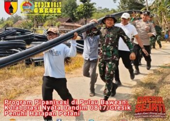 Program Pipanisasi di Pulau Bawean: Kolaborasi Nyata Dandim 0817/Gresik Penuhi Harapan Petani