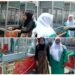 Berkah Hari Santri, UMKM Fatayat NU Gresik Dapat Rombong Gratis dari Mbak Nila DPR RI